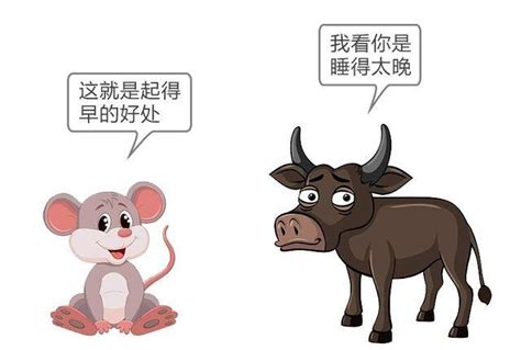 12生肖之首|古人为何把鼠排十二生肖之首？